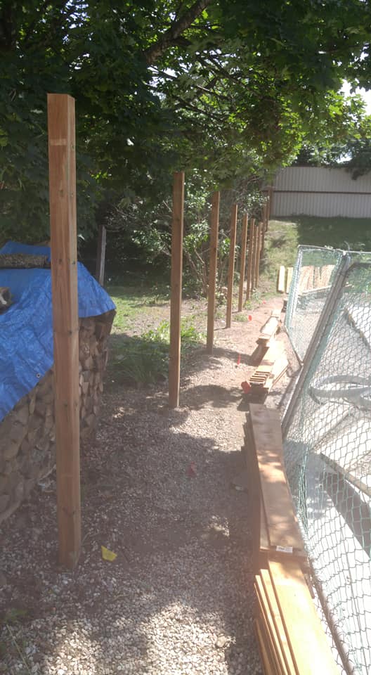 Black Timber Contracting build #4