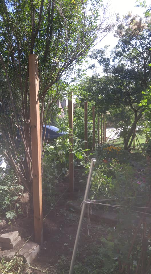 Black Timber Contracting build #5
